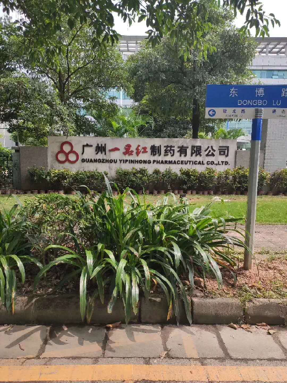一品紅